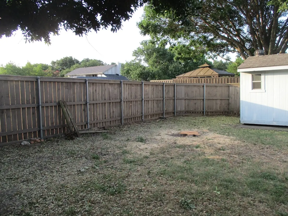 Cleared yard after professional tree removal in Elmendorf