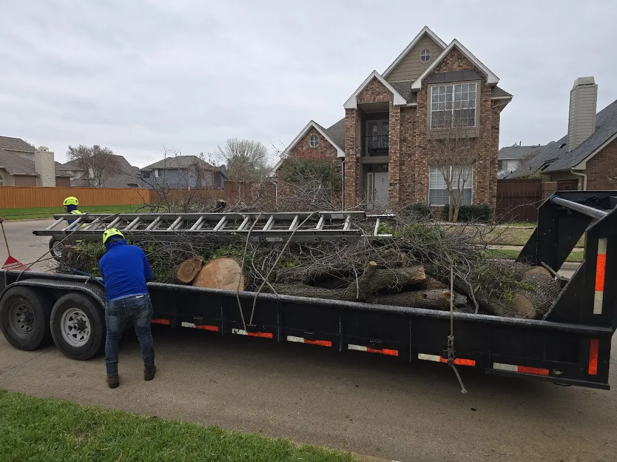 Expert Tree Fertilization with proper safety equipment in Elmendorf